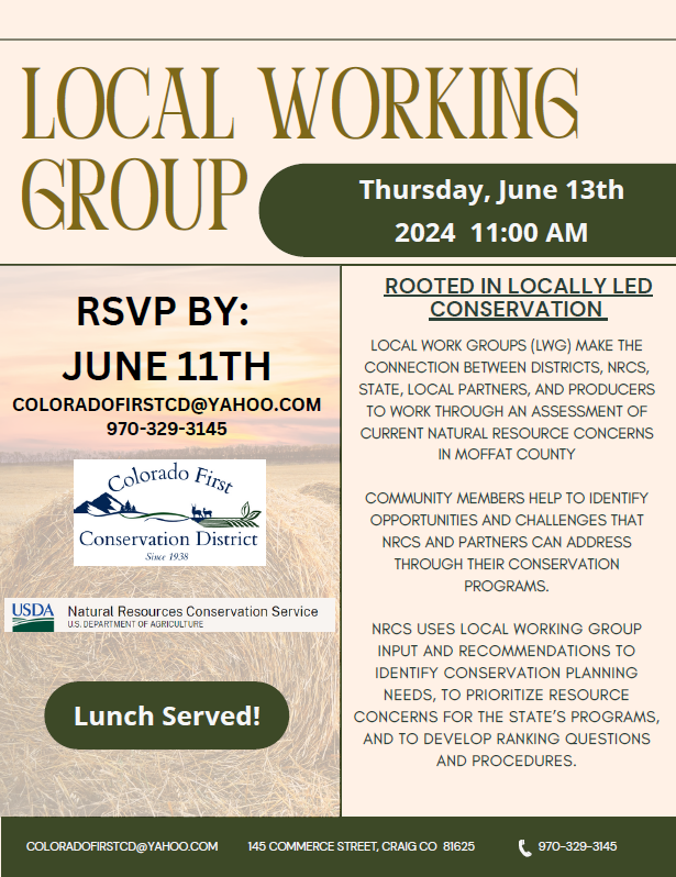 Flyer with information for the Local Working Group Meeting