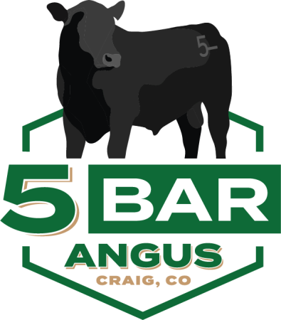 5 Bar Angus Conservationist of the Year