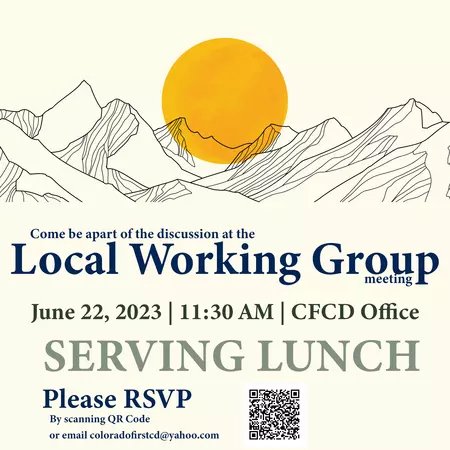 Join the Local Working Group meeting